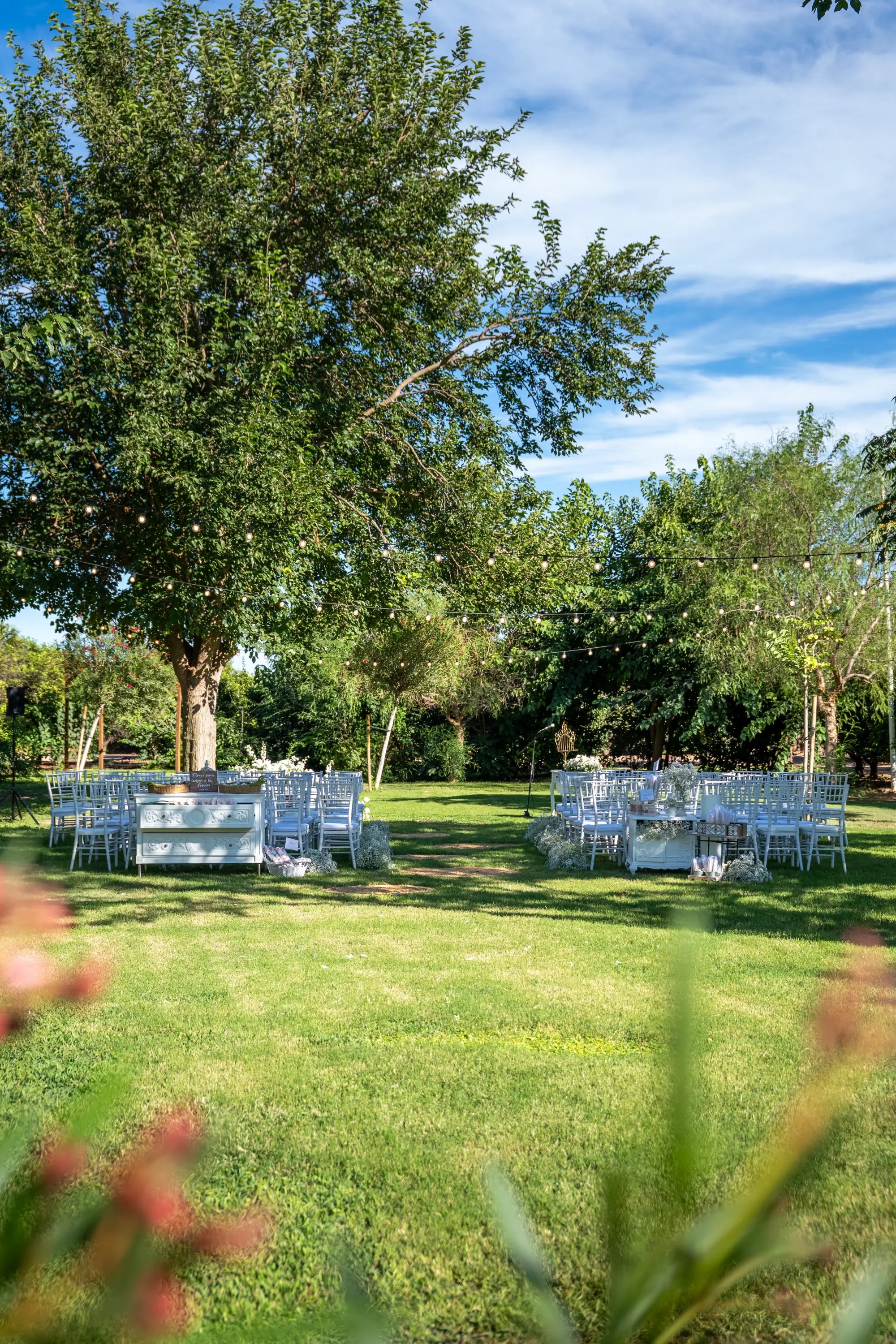 El Bosque, espacio de ceremonias en Masía del Olivar
