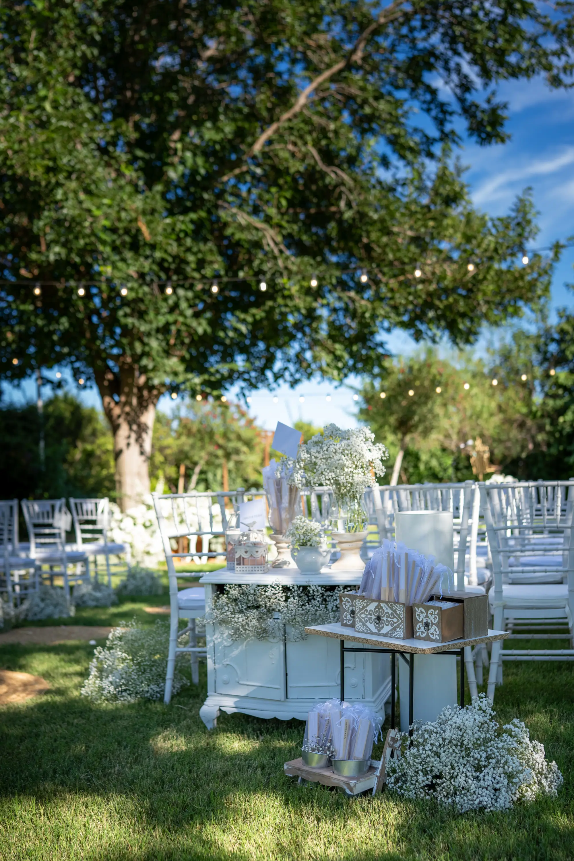 Detalle de los anillos de boda