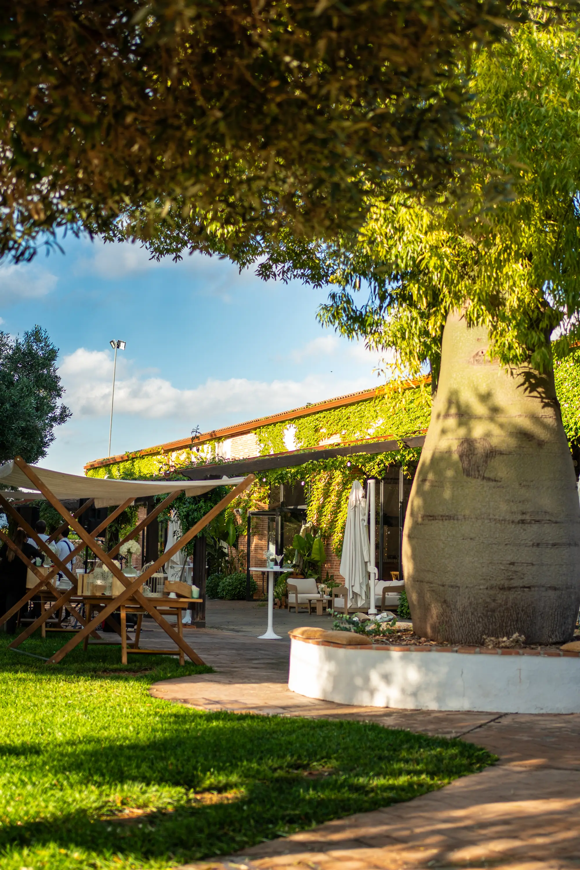 Descubrir el Jardín Olivar