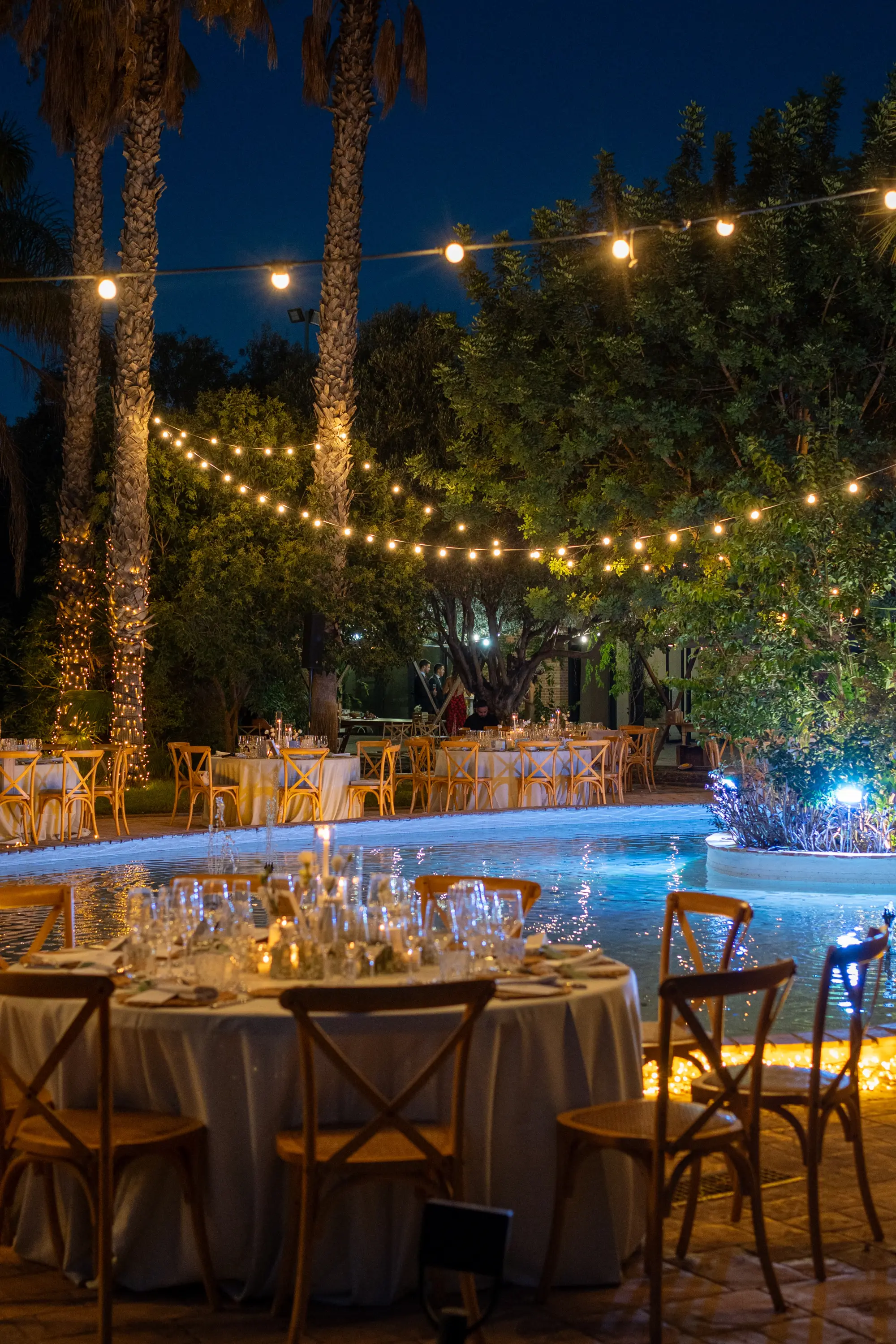 Jardín Olivar iluminado durante la noche