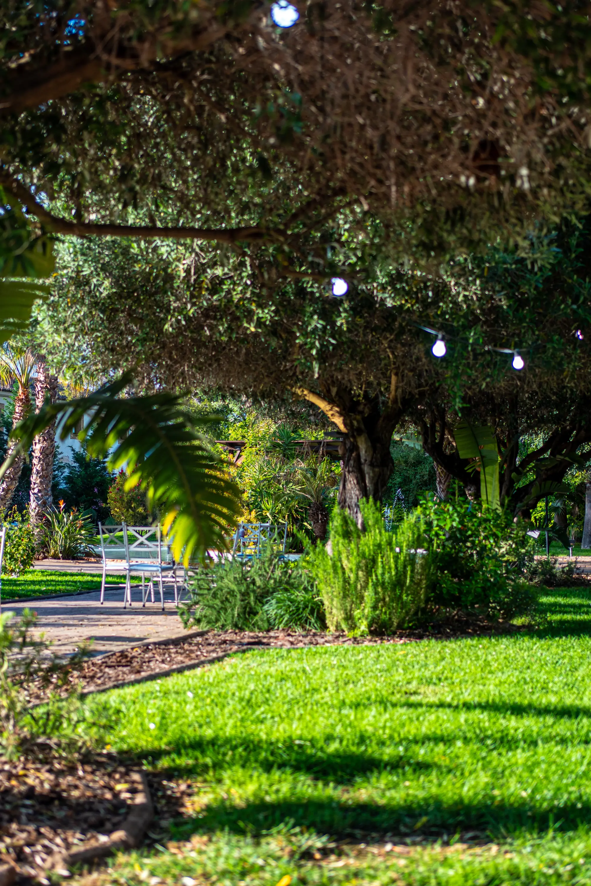 Barra de obra en el Jardín Olivar