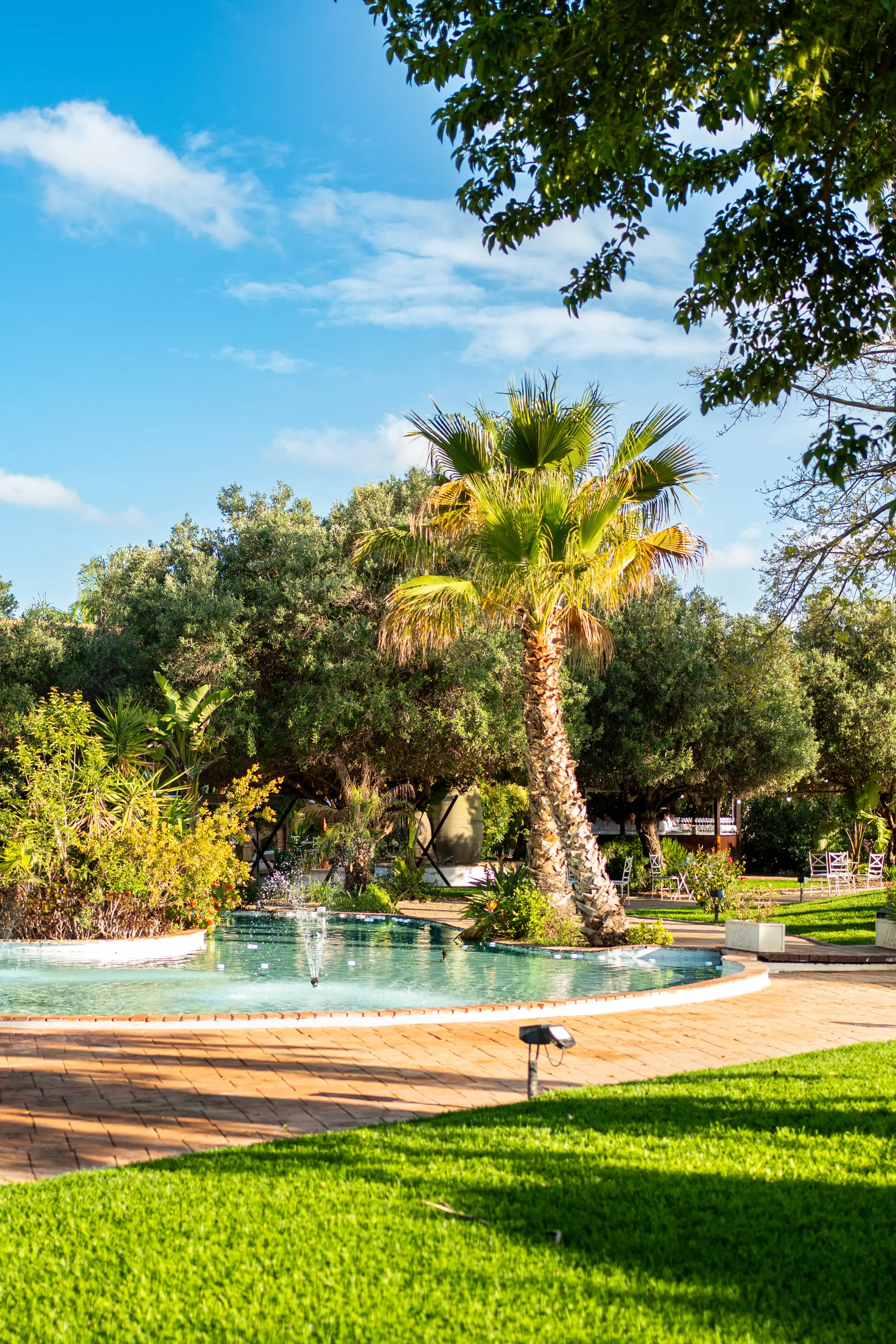 El Jardín Olivar al atardecer